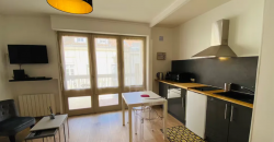 Appartement – T1 – Toulouse – 530
