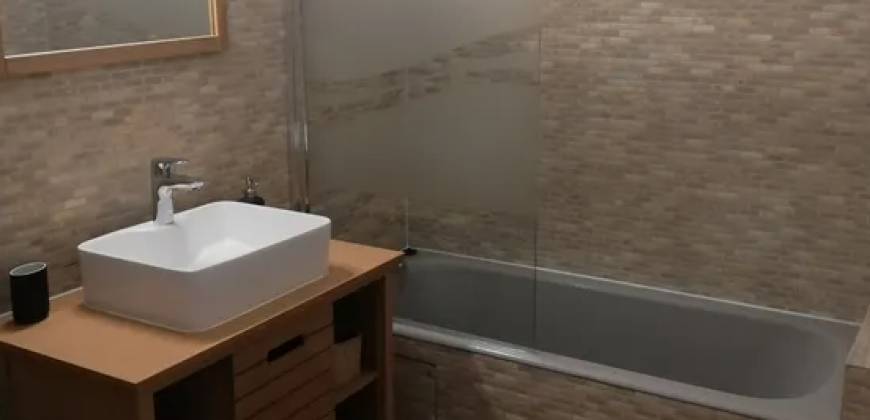 Appartement – T1 – Toulouse – 530