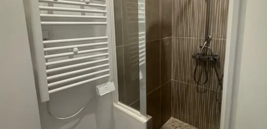 Appartement – T3 – Thizy-les-Bourgs – 558