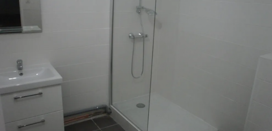 Appartement – T1 – Lyon – 690