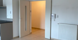 Appartement – T3 – TOULOUSE – 1150