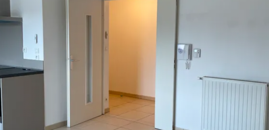 Appartement – T3 – TOULOUSE – 1150